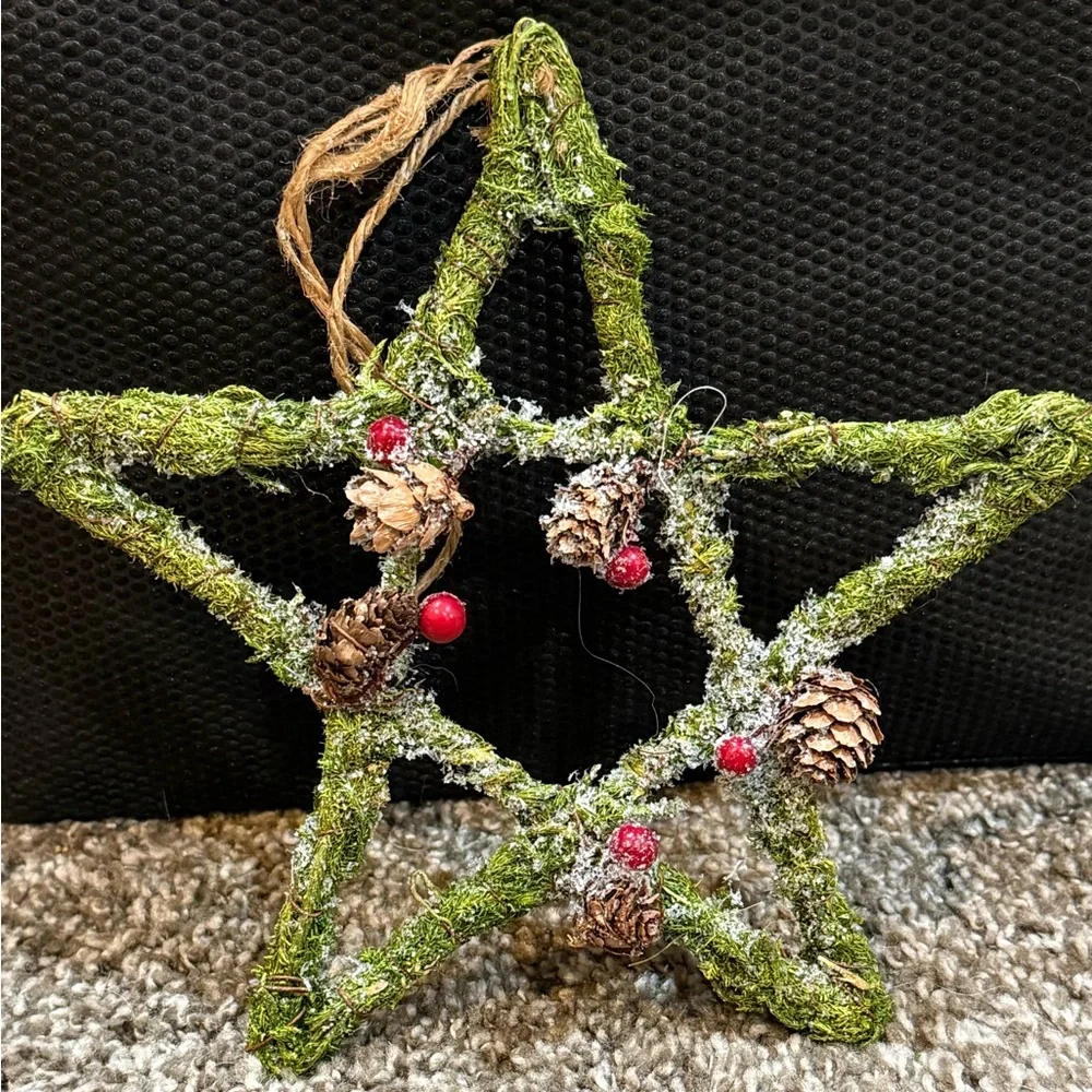 Pier 1 Rustic Twig Star & Snowflake Ornaments Michaels Fruit Pick Set of 5